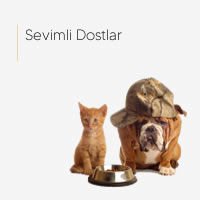 Sevimli Dostlar