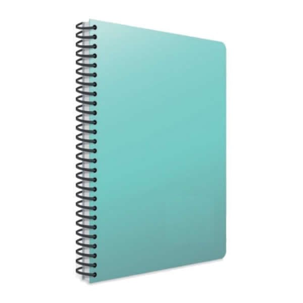 Gıpta Several A4 160 Yaprak 4 + 1 Spiralli Plastik Kapaklı Defter