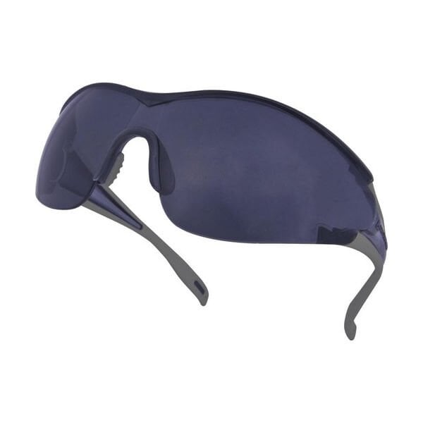 Delta Plus EGON Gözlük