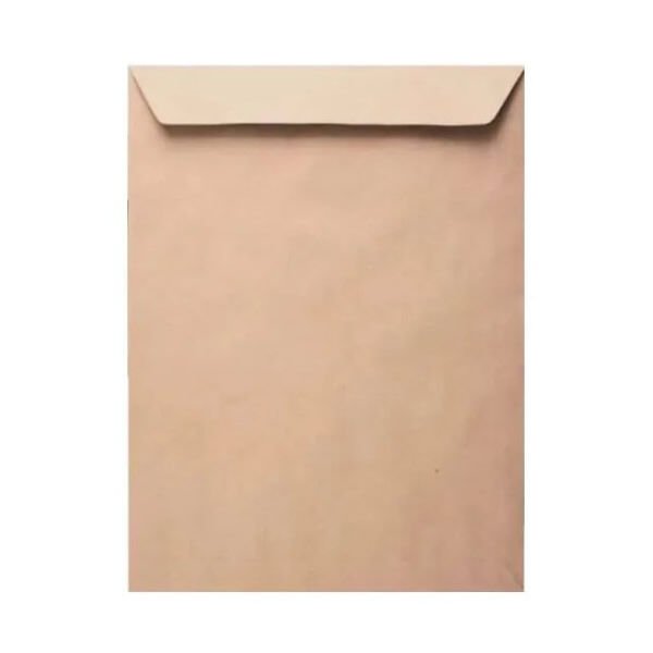 Oyal 24x32 90 gr 250 li Kraft Torba Zarf
