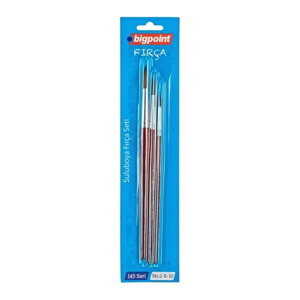 Bigpoint 145/2-6-10 3 Adet Fırça Set
