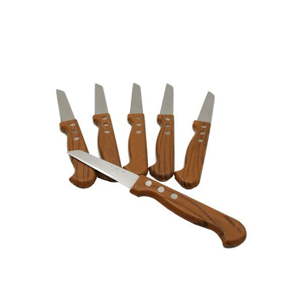 Decorev 6 lı Ergonomik Meyve Bıçağı