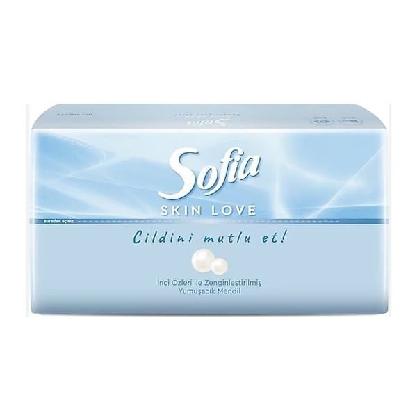 Rossmann 100 lü Sofia Skin Love Mendil