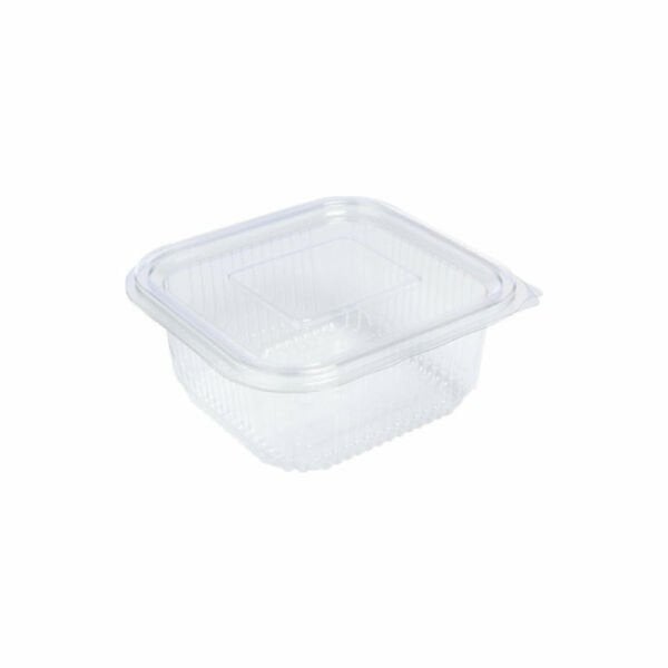 Tek 100 lü 250 gr Plastik Şeffaf Sızdırmaz Kabı